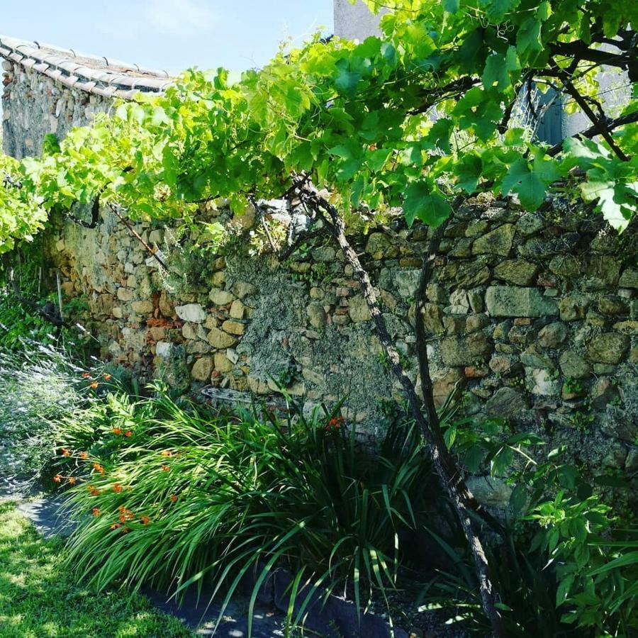 Gite Maison De L'Abbe 索雷兹 外观 照片