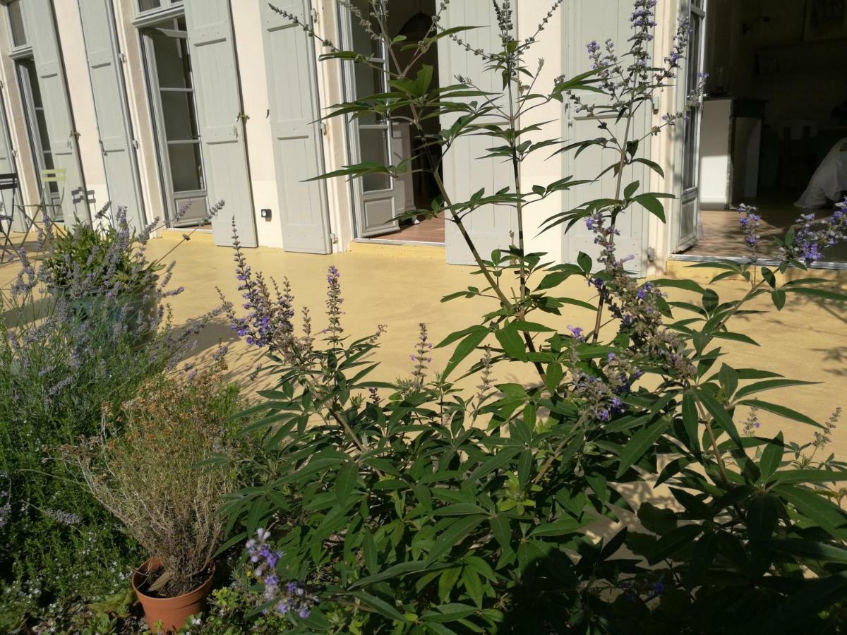 Gite Maison De L'Abbe 索雷兹 外观 照片
